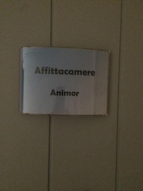 Affittacamere Animor Cagliari Esterno foto